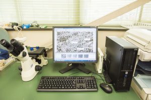 三次元測定器・画像測定器による検査の様子